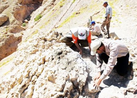 فريق من البحث الجنائي والطب الشرعي اليمني يعاينون موقع الجريمة الإرهابية في شبام التاريخية أمس